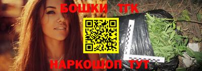 гидра Новодвинск