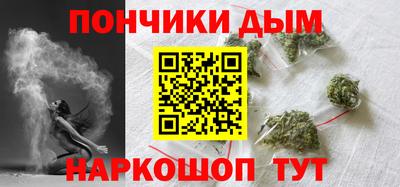гидра Новодвинск