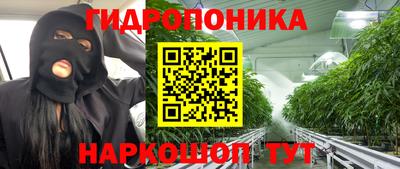 MDMA Новозыбков